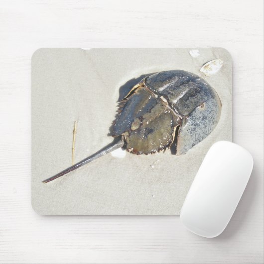 Pfeilschwanzkrebs Mousepad (Mit Mouse)