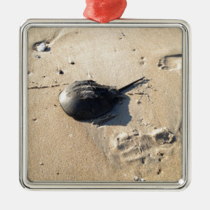 Pfeilschwanzkrebs Ornament Aus Metall
