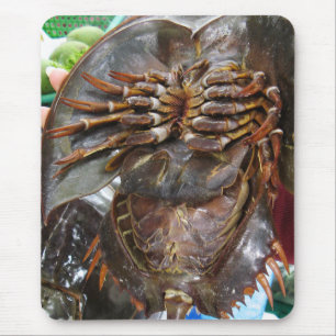 Pfeilschwanzkrebs-… thailändische asiatische mousepad