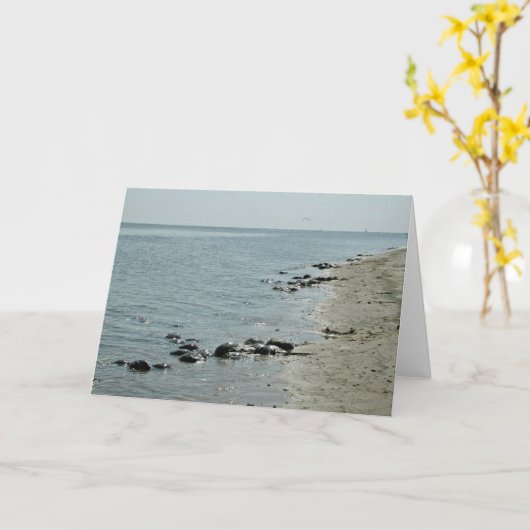 Pfeilschwanzkrebse entlang Strand Karte (Gelbe Blume)