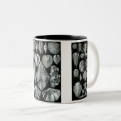 Pfeilschwanzkrebse, Trilobites u. Schnecken Zweifarbige Tasse (VorderseiteRechts)