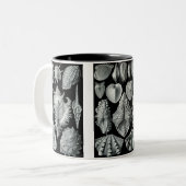 Pfeilschwanzkrebse, Trilobites u. Schnecken Zweifarbige Tasse (Vorderseite Links)