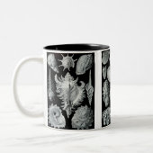 Pfeilschwanzkrebse, Trilobites u. Schnecken Zweifarbige Tasse (Links)