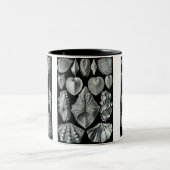 Pfeilschwanzkrebse, Trilobites u. Schnecken Zweifarbige Tasse (Mittel)