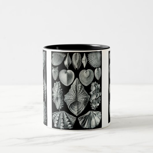 Pfeilschwanzkrebse, Trilobites u. Schnecken Zweifarbige Tasse (Mittel)