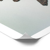 Pfeilspitzen, Eisenzeit (Eisen) Poster (Ecke)