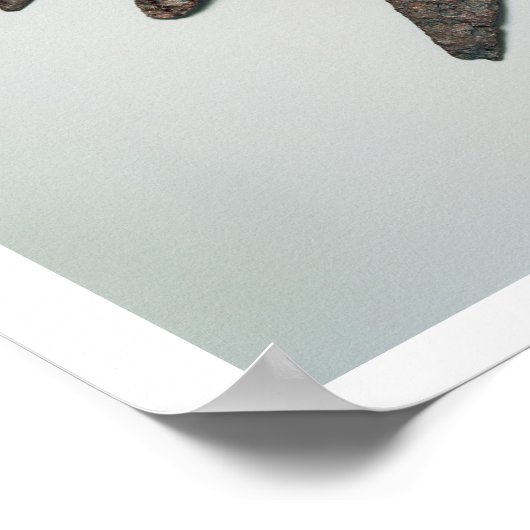 Pfeilspitzen, Eisenzeit (Eisen) Poster (Ecke)