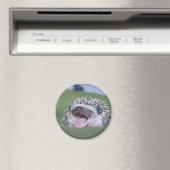 Pfennig Magnet (In Situ (Geschirrspüler))
