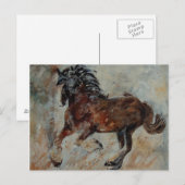 Pferd561 Postkarte (Vorne/Hinten)