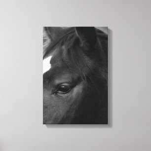 Pferd 11 x 16,5 (27,5 x 41,25 cm) Waccnm Leinwanddruck