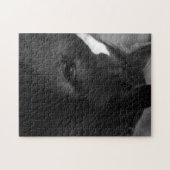 Pferd 11x14 252pc jpcna puzzle (Horizontal)