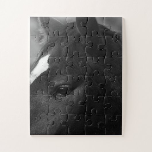 Pferd 11x14 30pc jpcnm puzzle (Vertikal)