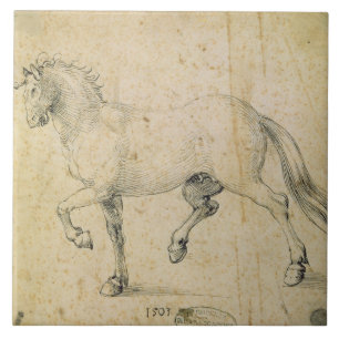 Pferd, 1503 (Feder auf Papier) Fliese