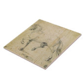 Pferd, 1503 (Feder auf Papier) Fliese (Seite)