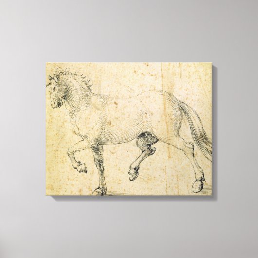Pferd, 1503 (Stift und Tinte auf Papier) Leinwanddruck (Vorderseite)