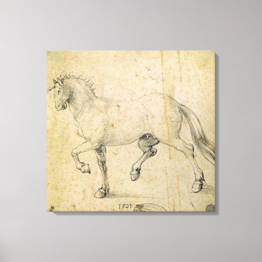 Pferd, 1503 (Stift und Tinte auf Papier) Leinwanddruck (Vorderseite)