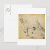 Pferd, 1503 (Stift und Tinte auf Papier) Postkarte (Vorne/Hinten)