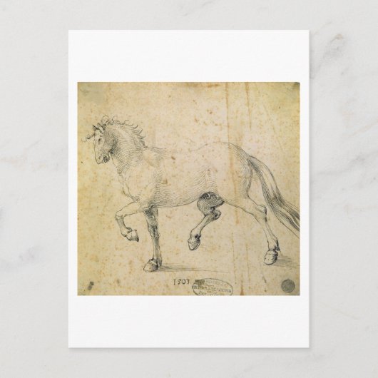 Pferd, 1503 (Stift und Tinte auf Papier) Postkarte (Vorderseite)