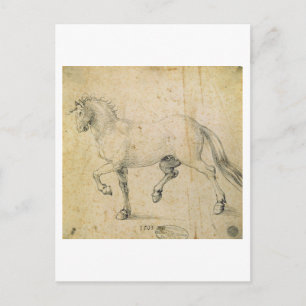 Pferd, 1503 (Stift und Tinte auf Papier) Postkarte