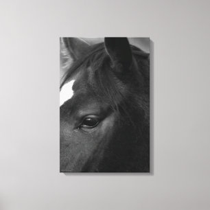 Pferd 16 x 24 (40 x 60 cm) Waccnm Leinwanddruck