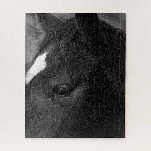 Pferd 16x20 520pc jpcna puzzle (Vertikal)
