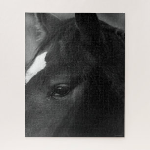 Pferd 16x20 520pc jpcnm puzzle