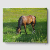 Pferd #1 gästebuch (Rückseite)