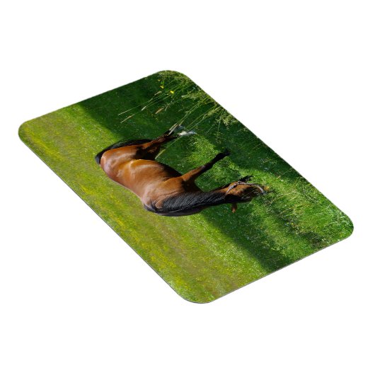 Pferd #1 magnet (Rechte Seite)