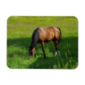 Pferd #1 magnet (Horizontal)