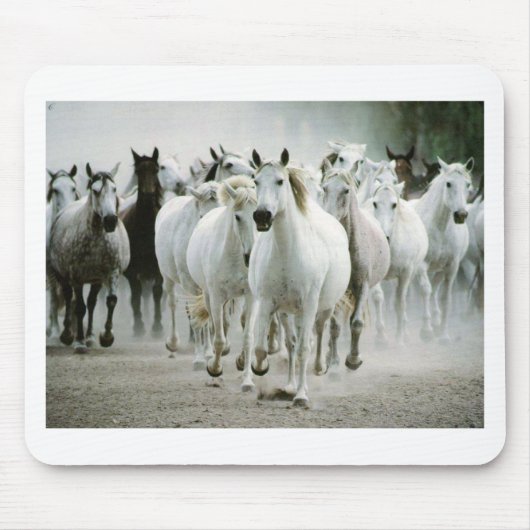 Pferd (1) mousepad (Vorne)