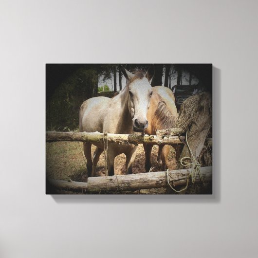 Pferd 1 Stretchierte Canvas Print Leinwanddruck (Vorderseite)