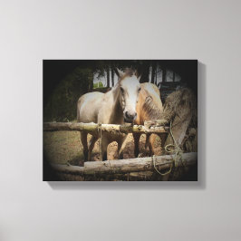 Pferd 1 Stretchierte Canvas Print Leinwanddruck