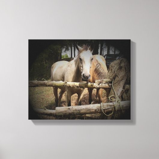 Pferd 1 Stretchierte Canvas Print Leinwanddruck (Vorderseite)