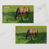 Pferd #1 visitenkarte (Vorne/Hinten)