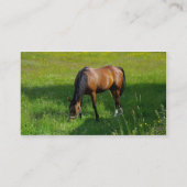 Pferd #1 visitenkarte (Rückseite)