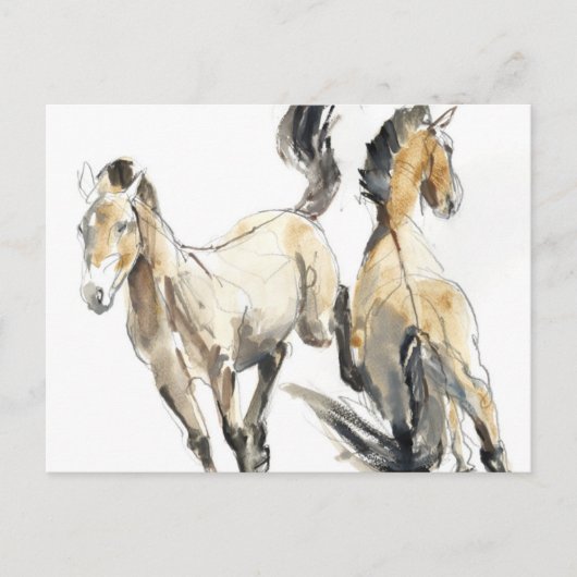 Pferd 2013 postkarte (Vorderseite)