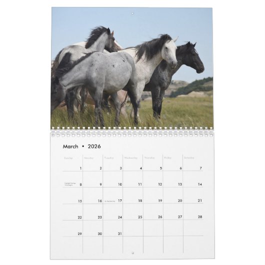 Pferd 2025 kalender (Mär 2026)