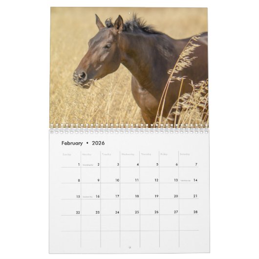 Pferd 2025 kalender (Feb 2026)