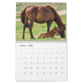 Pferd 2025 kalender (Jan 2026)