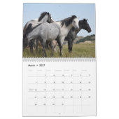 Pferd 2025 kalender (Mär 2027)