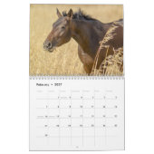 Pferd 2025 kalender (Feb 2027)
