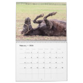 Pferd 2026 kalender (Feb 2026)