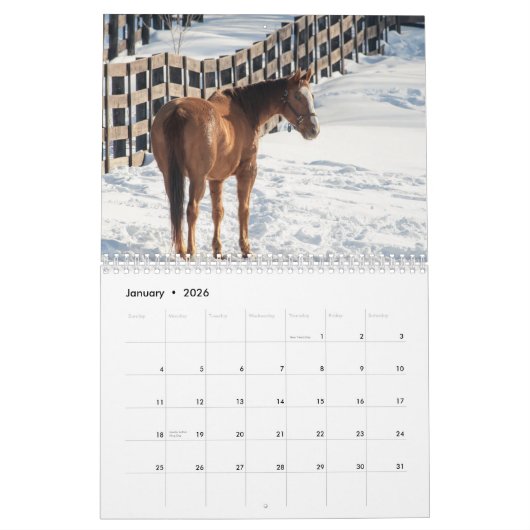 Pferd 2026 kalender (Jan 2026)