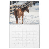 Pferd 2026 kalender (Jan 2027)