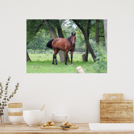 Pferd - 2037 poster (Küche)