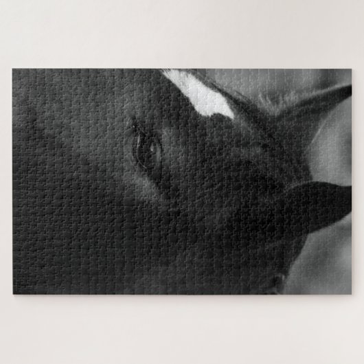 Pferd 20x30 1014pc jpcna puzzle (Horizontal)