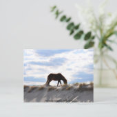 Pferd 2, Assateague Island Staat Park Postkarte (Stehend Vorderseite)