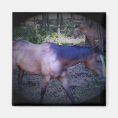 Pferd 2 Magnet (Vorne)