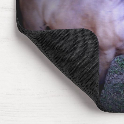 Pferd 2 Mousepad (Ecke)