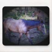 Pferd 2 Mousepad (Vorne)